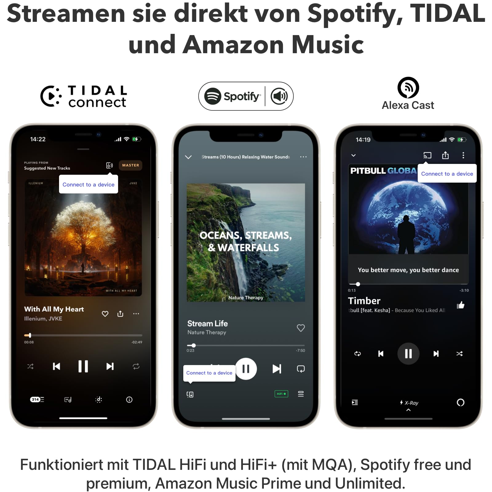 WiiM Pro Plus AirPlay 2 Receiver Google Cast Audio Multiroom Streamer mit AKM DAC Sprachfernbedienung Hi-Res Audio