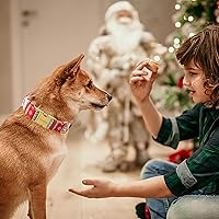 Vista 198 de Unique Style Paws - Collar rosa con hebilla de metal, duradero y lindo para perros pequeños a grandes