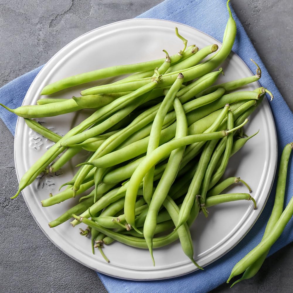 Climbing French Bean Cobra Seeds – Early Setting Crops of Wonderfully Tasty, Fine Stringless Pods – RHS Award of Garden Merit – for Your Beautiful Kitchen Garden