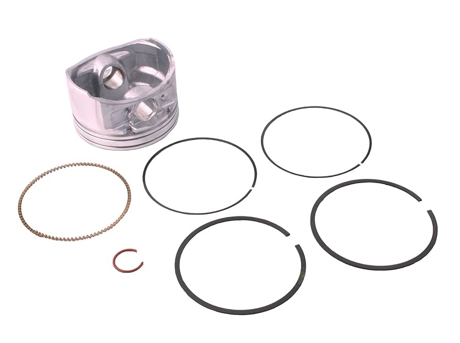 Amazon.com : Briggs & Stratton 793647 Piston Assembly
