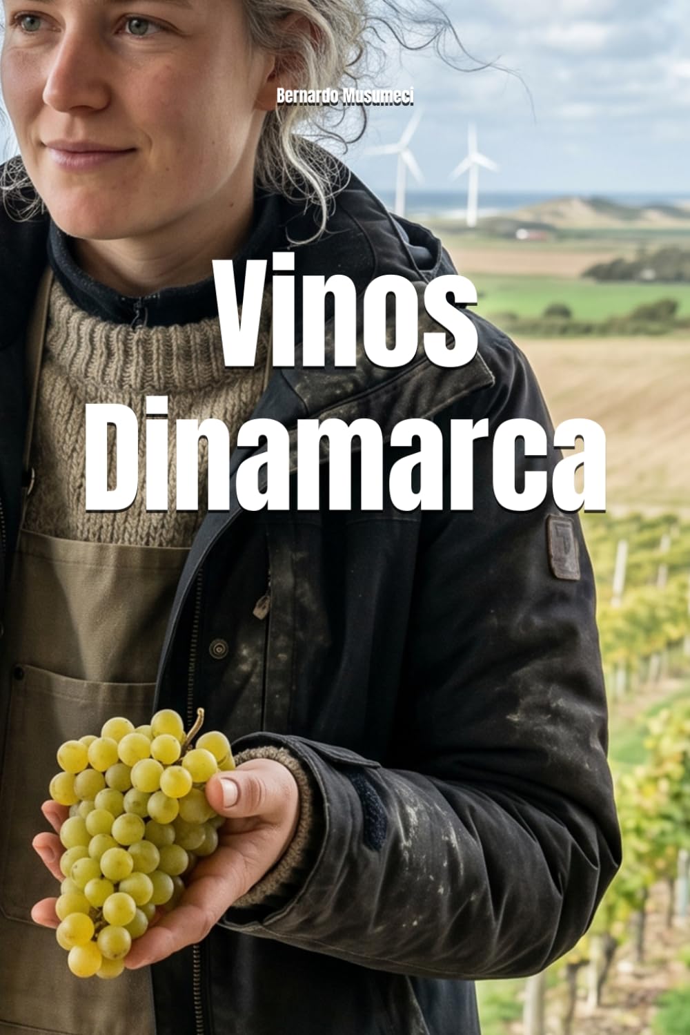 Vinos Dinamarca (Wines of the World)