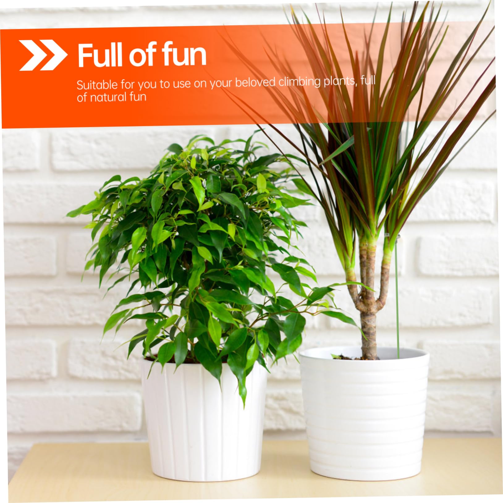 POPETPOP 3ensembles Supports De Plantes De Tuteurs Réutilisables pour Potted Plants Et Grimpantes avec Clips Fixants Pratique pour Jardin