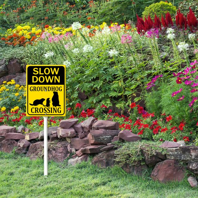 Vdenvileye Panneau De Cour Tortue Avec Piquet En Métal Pour Quartiers