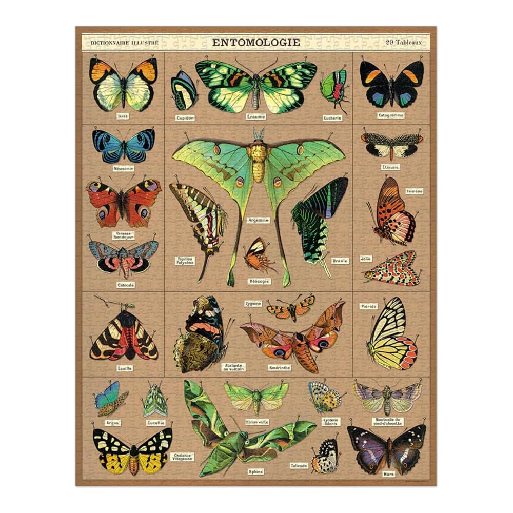 Cavallini & Co. Puzzle d'entomologie 1000 pièces