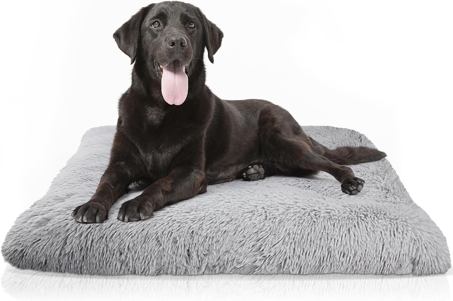 Image showcasing Baodan Washable Dog Bed for Small Dogs Cats, Soft Dog Crate Mattress ...