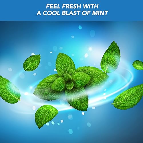 Miniatura 2 de Paquete de 4 cepillos de dientes de bambú, hilo dental e hisopos de algodón, cerdas ultra suaves, infusión de carbón negro, hilo dental en