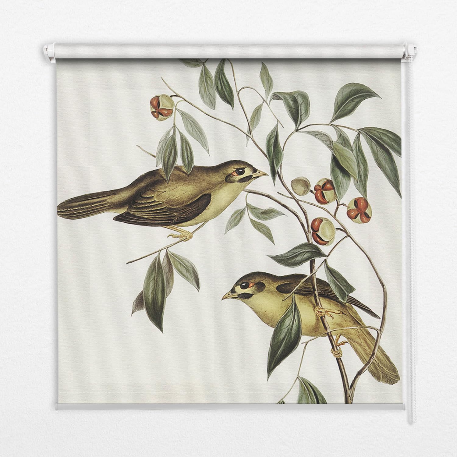 Store enrouleur sans perçage perméable 50x50 cm filtrant la lumière du jour