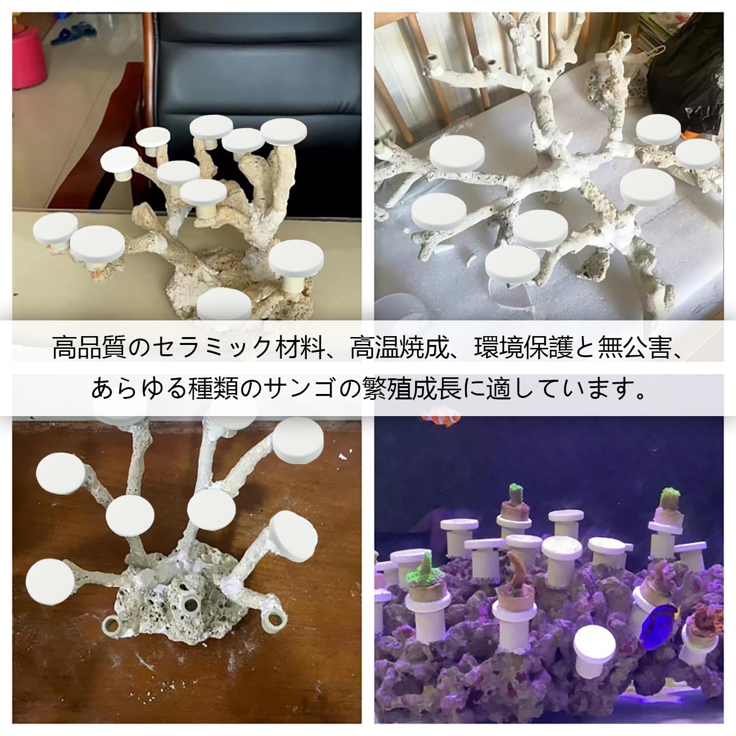 Amazon.co.jp: ADOFUN 水族館サンゴ プラグ【10個】サンゴベース