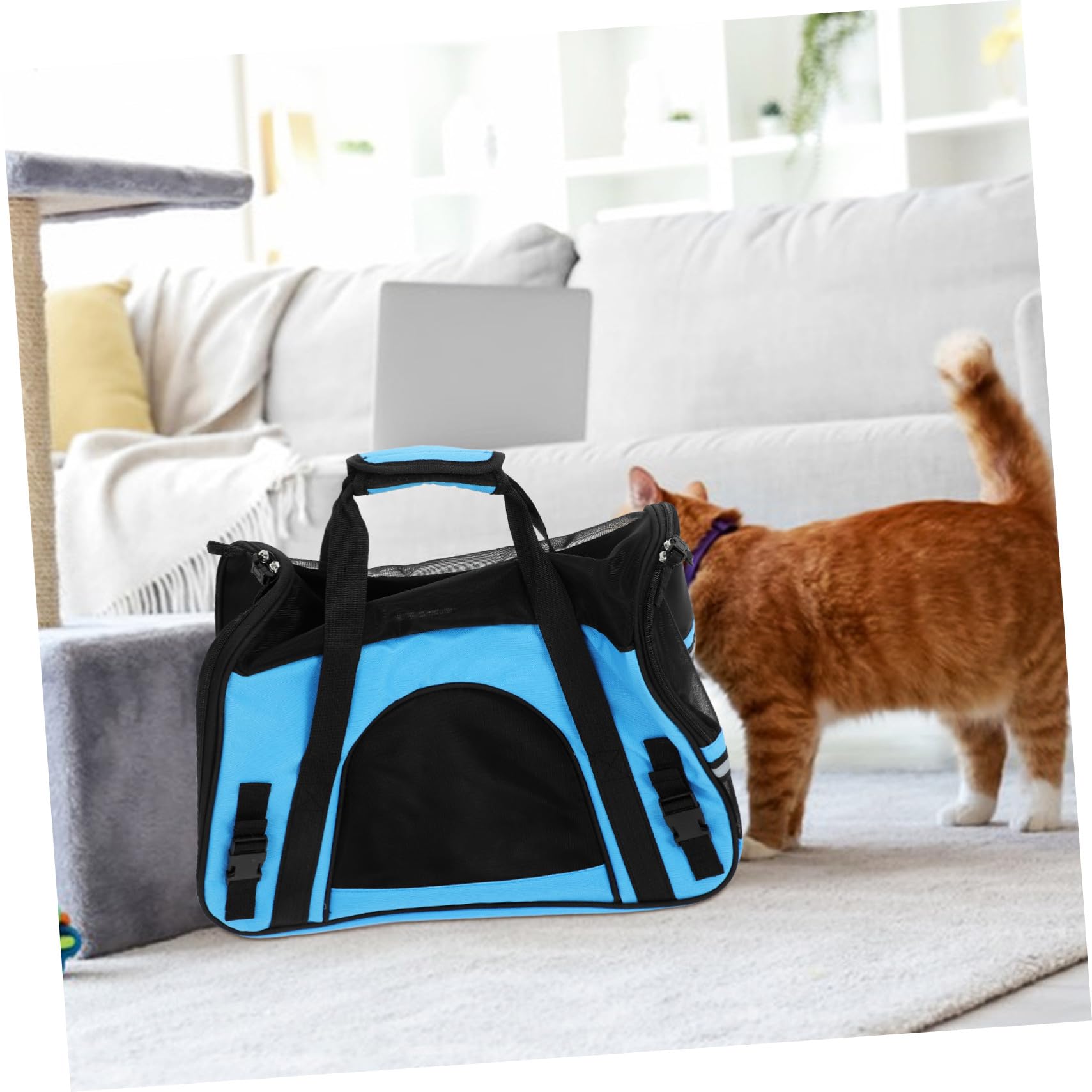 DOITOOL Bolso para Mascotas Transpirable De Viaje Bolso para Perros y Gatos con Almohadilla para Paseos Ciudad o Excursiones Al Aire