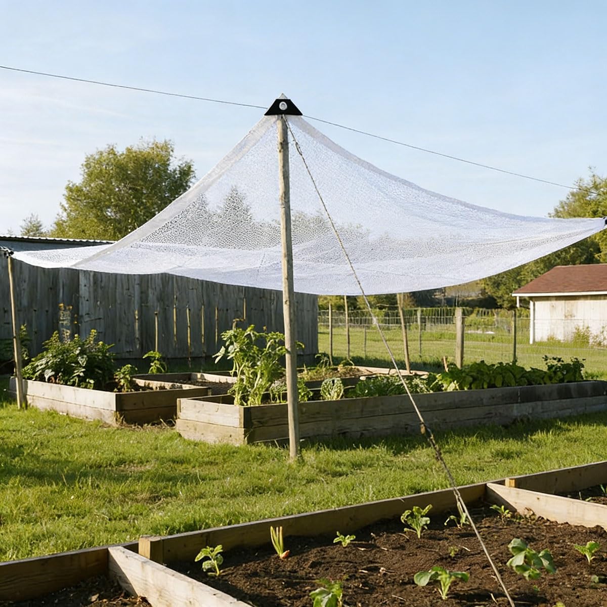 Lona de malla blanca de alta calidad de 12 x 12 pies con ojales – Cubierta de sombra solar resistente a los rayos UV para invernaderos, plantas, patios y malla de pollo al aire libre – Protección
