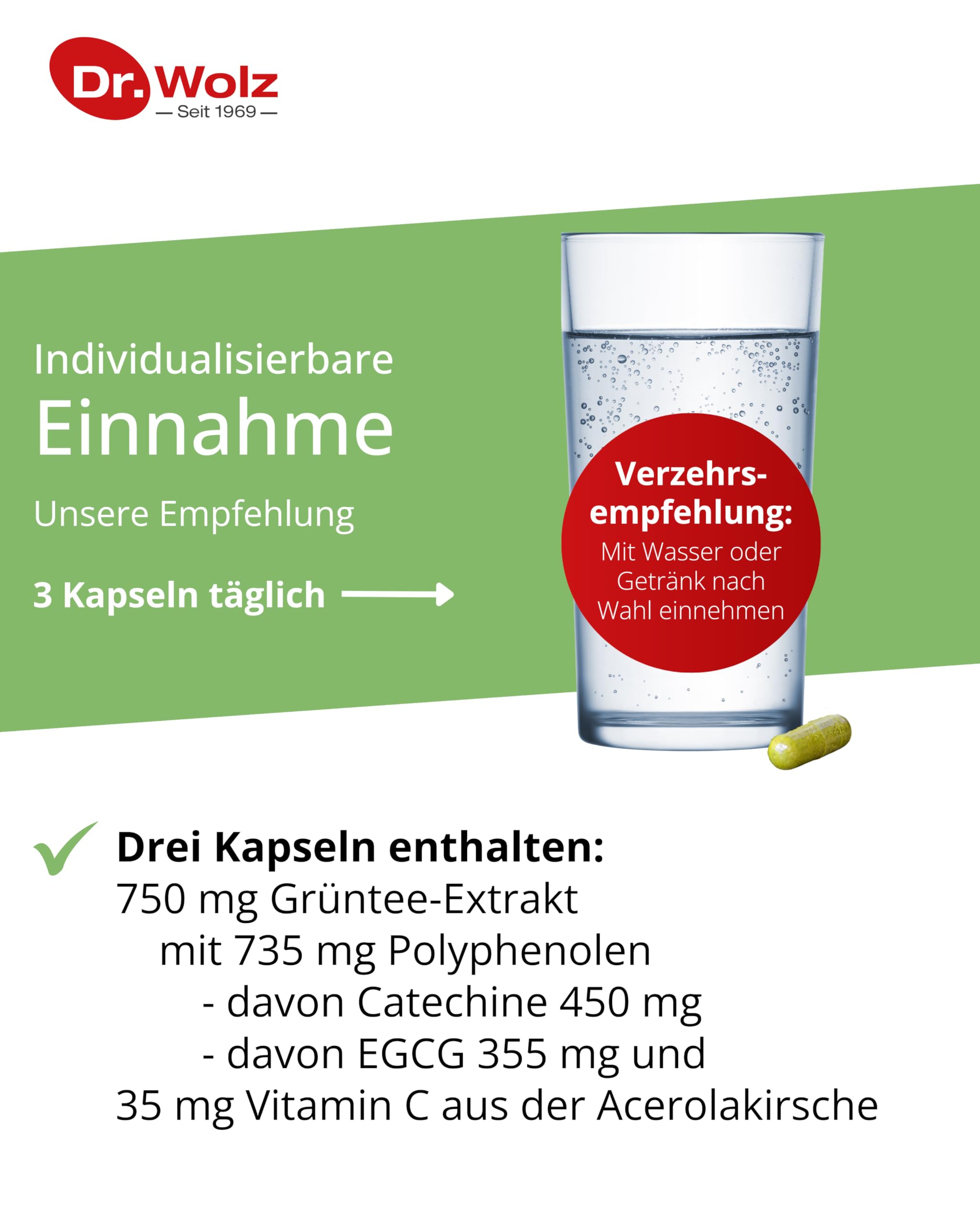Dr. Wolz Grüntee-Extrakt, 120 St. Kapseln
