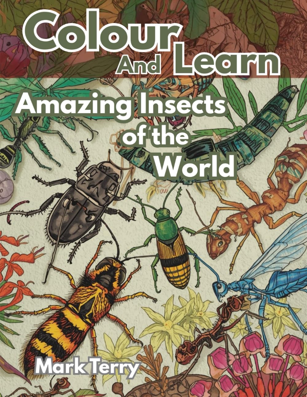 Colour and Learn: Insects of the World