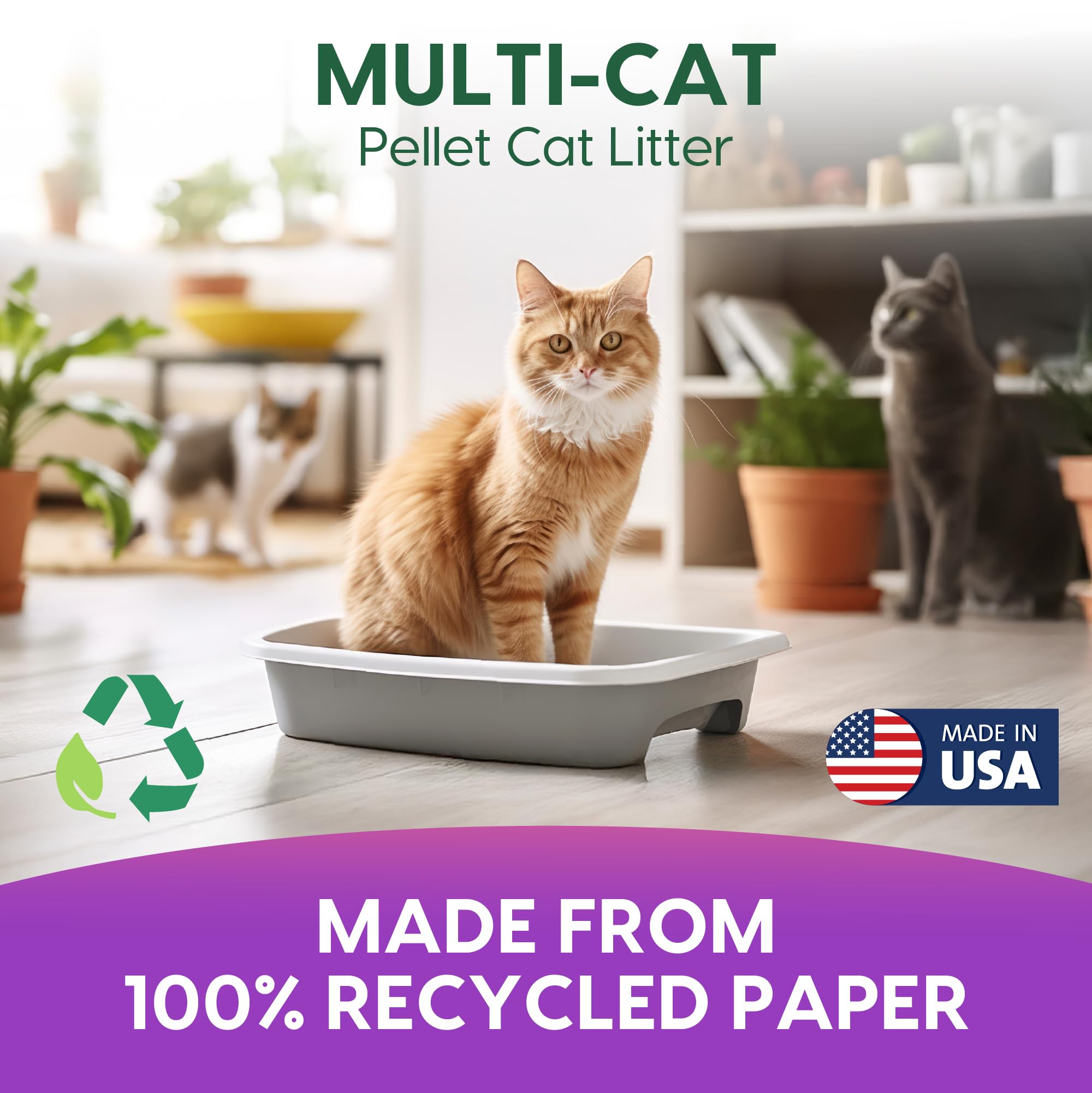 Fresh News Arena de Papel para Gatos Multi Cat Que no se aglutina, Bolsa de 25 Libras