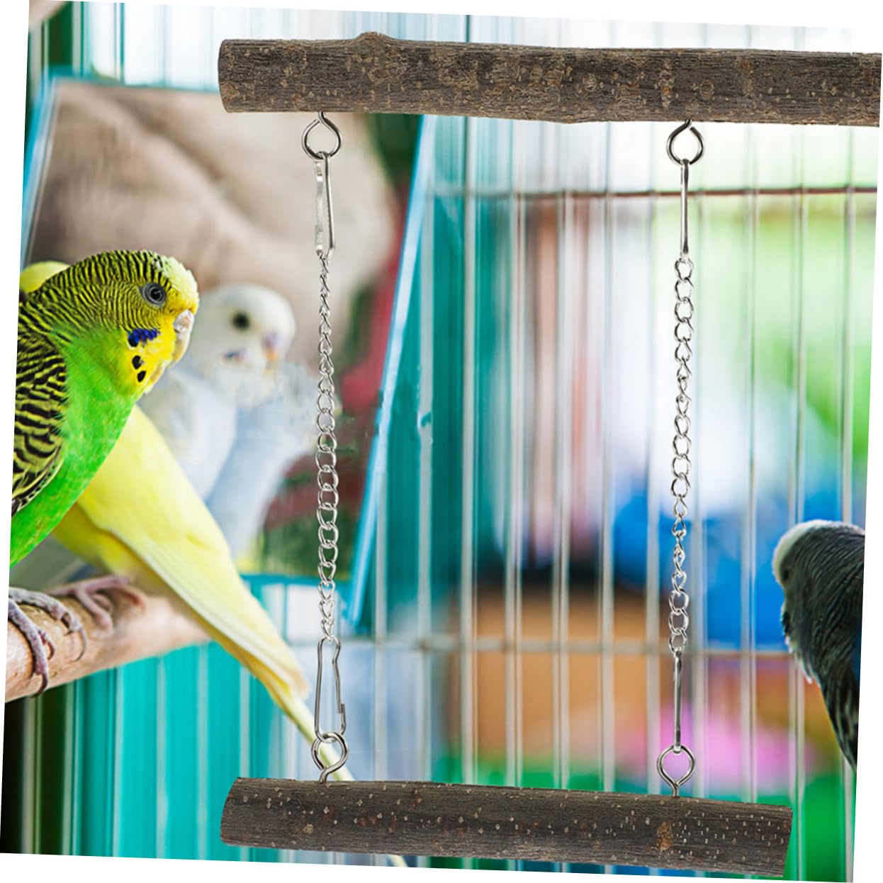 COLLBATH 5 Sets Vogel Schaukel Spielzeug Papagei Barsch Stehen Holz Konstruktion Sicher Kreative Vogel Training Liefert