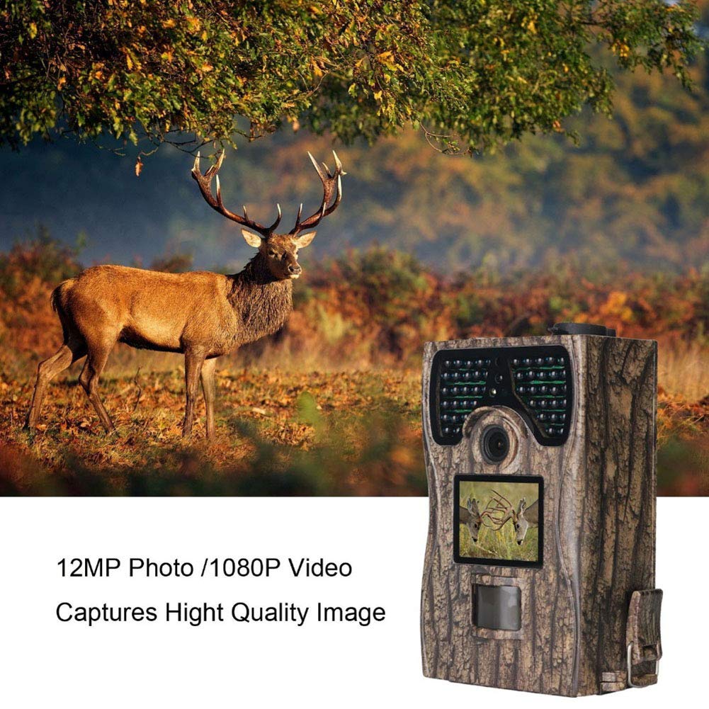 All States Wireless Camera Observation System - Single Camera Kit with 9