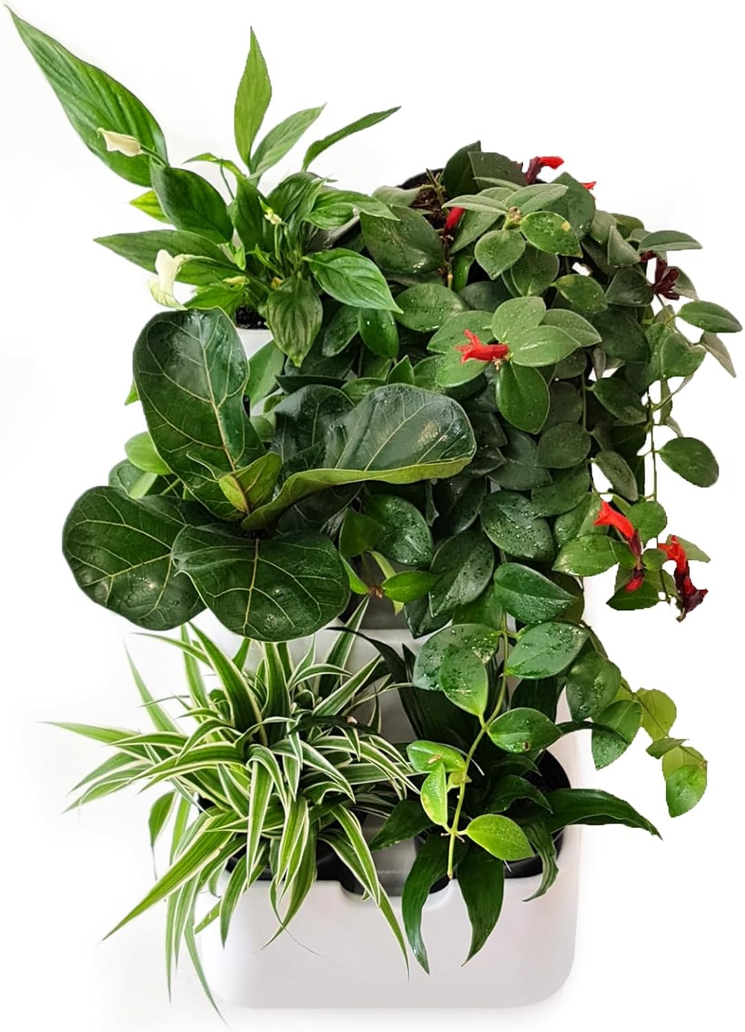 BOXSAND-6 Vertical Wall Planter (12"x26", White with Black Pots) – Living Wall for 6 Plants, Indoor/Outdoor Vertical Garden System, Easy 2-Screw Install