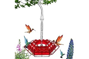 Sherem Hummingbird Feeder: Backyard Bliss for Hummingbirds