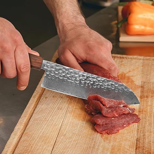 Miniatura 8 de Gutoky Cuchillo para deshuesar de Damasco, cuchillos afilados para carne y pescado, cuchillo de pescado con mango de palisandro