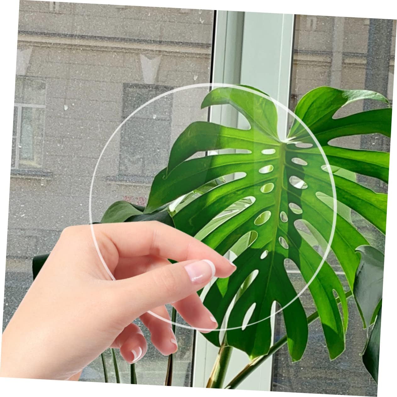 Uonlytech 20pcs Acrylic Discs Round Blanks for Crafts Art Projects and Decorations Thickness No for Creative Activities