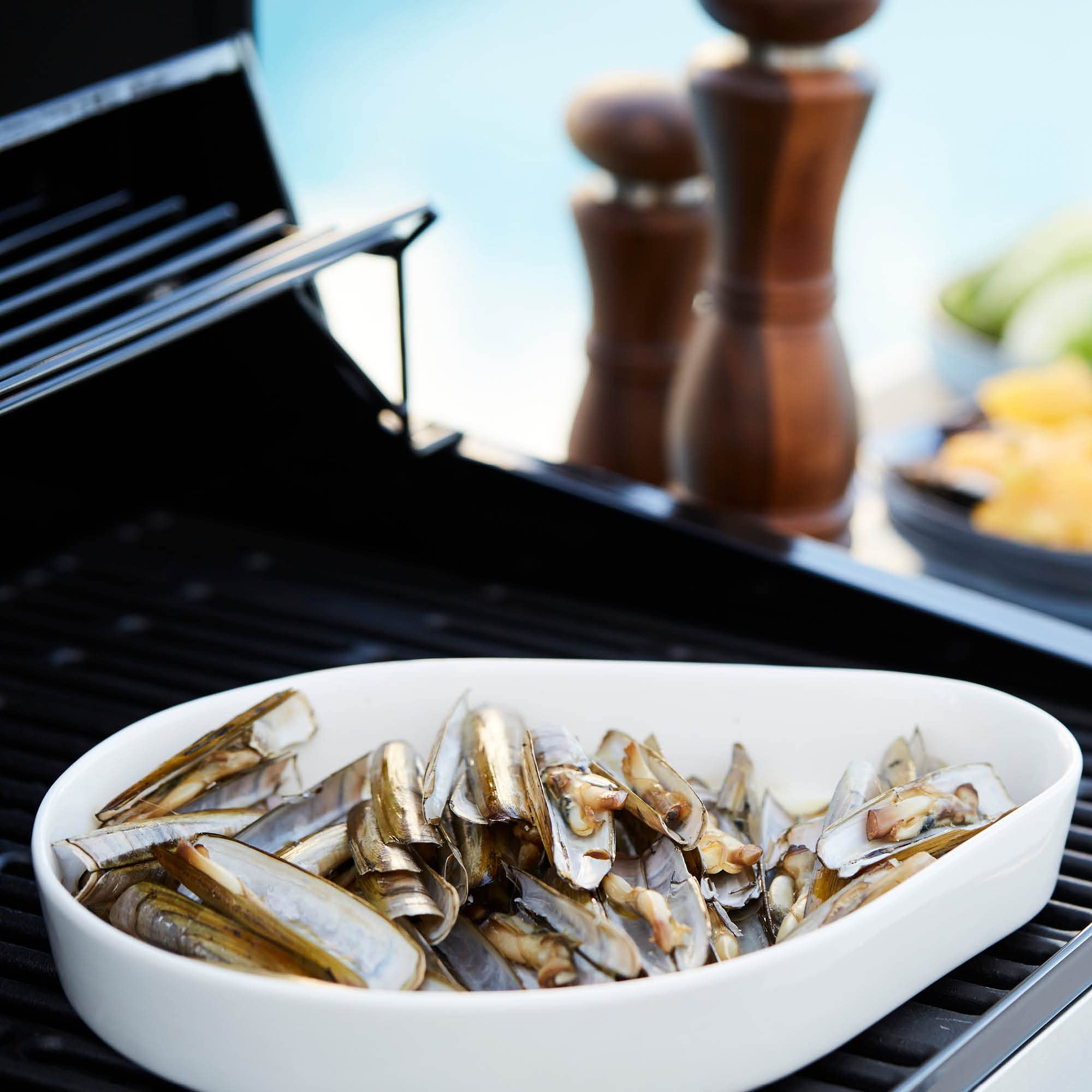 Barbecook grill gazowy 3 światła Stella 3201