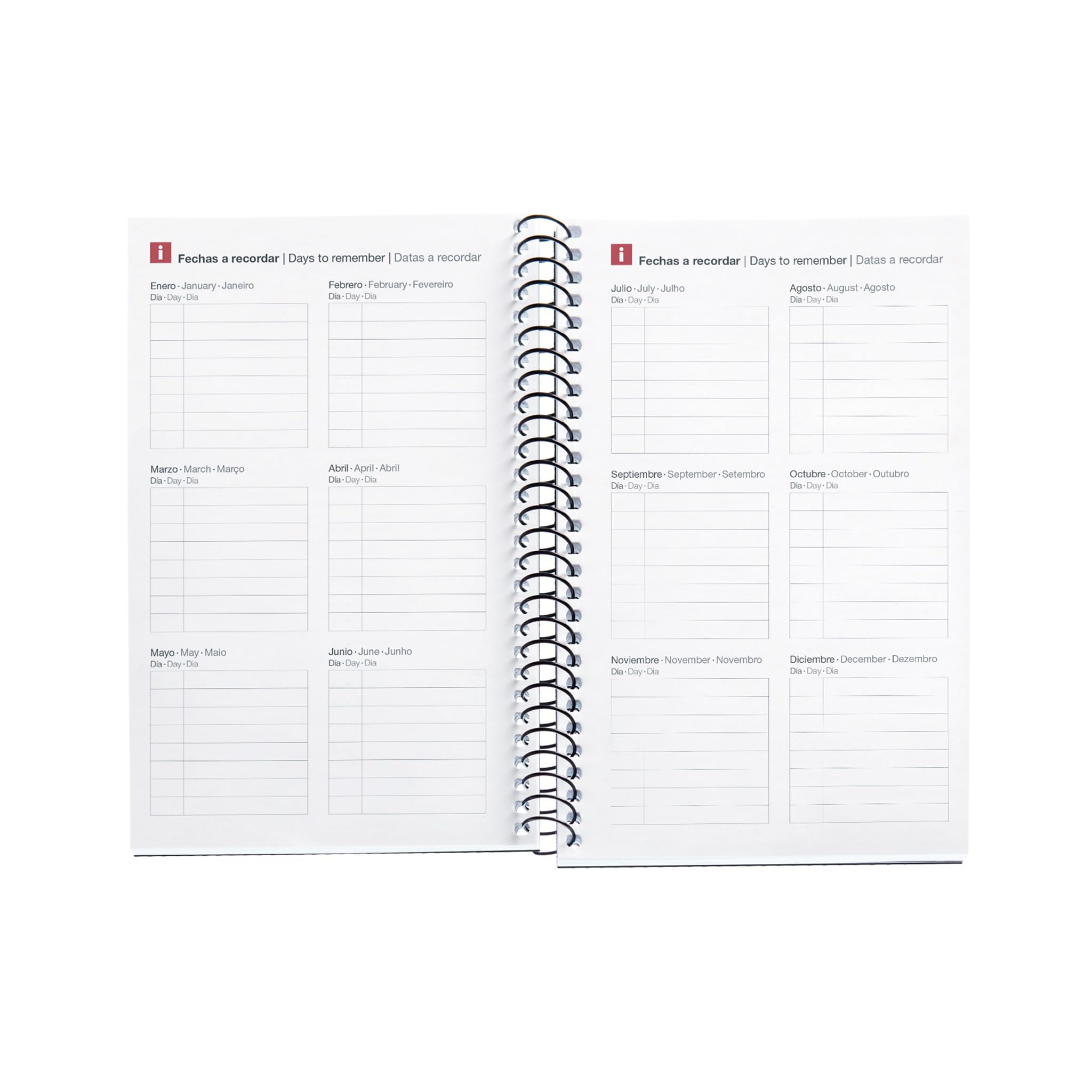 Miquelrius, Annual Planner 2024, Day Page, Active Size 117 x 182 mm, Polypropylene Flexible Cover, Spiral Binding, Spanish - Image 4