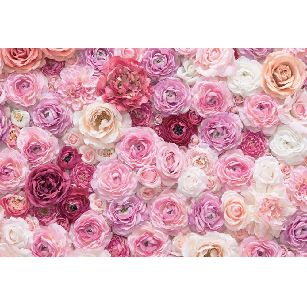De Grens Van De Rozenbloem Schittert Achtergrondpastelkleurtoon Stock