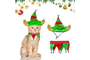 Premium Christmas Dog Elf Costume: A Festive Ensemble for Your Beloved St. Bernard