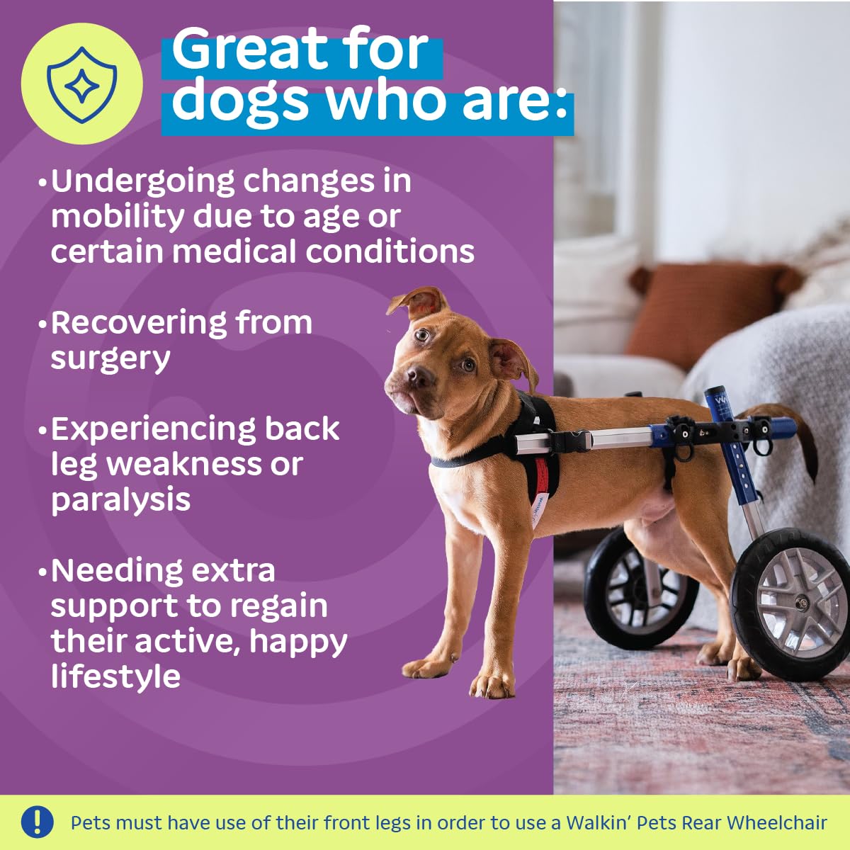 Dog Wheelchair - for Small Dogs 11-25 Pounds - Veterinarian