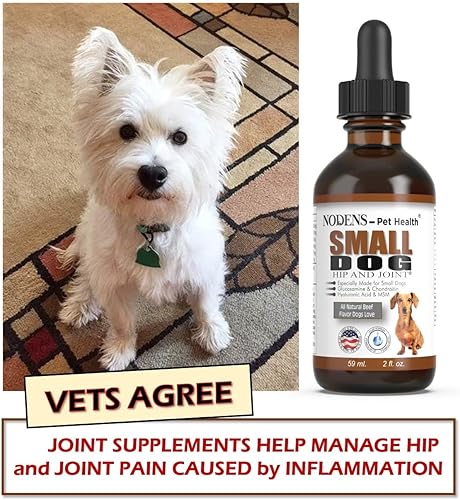 Miniatura 6 de NODENS - Glucosamina líquida para cadera y articulaciones de perros pequeños con condroitina y ácido hialurónico MSM - Suplemento para