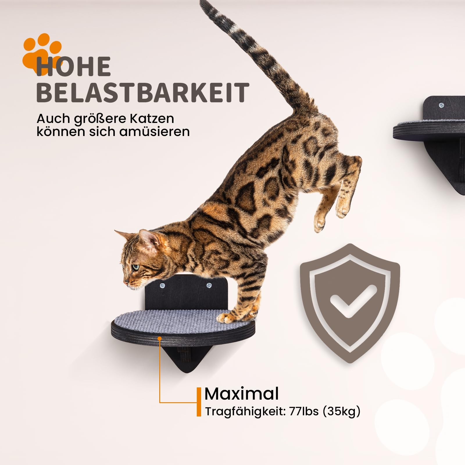 Premium Kletterwand Katzen aus Birkenholz | 3er-Set Katzentreppen mit Kratzflächen | Wandmontage Katzenleiter | Kletternetz für Katzen