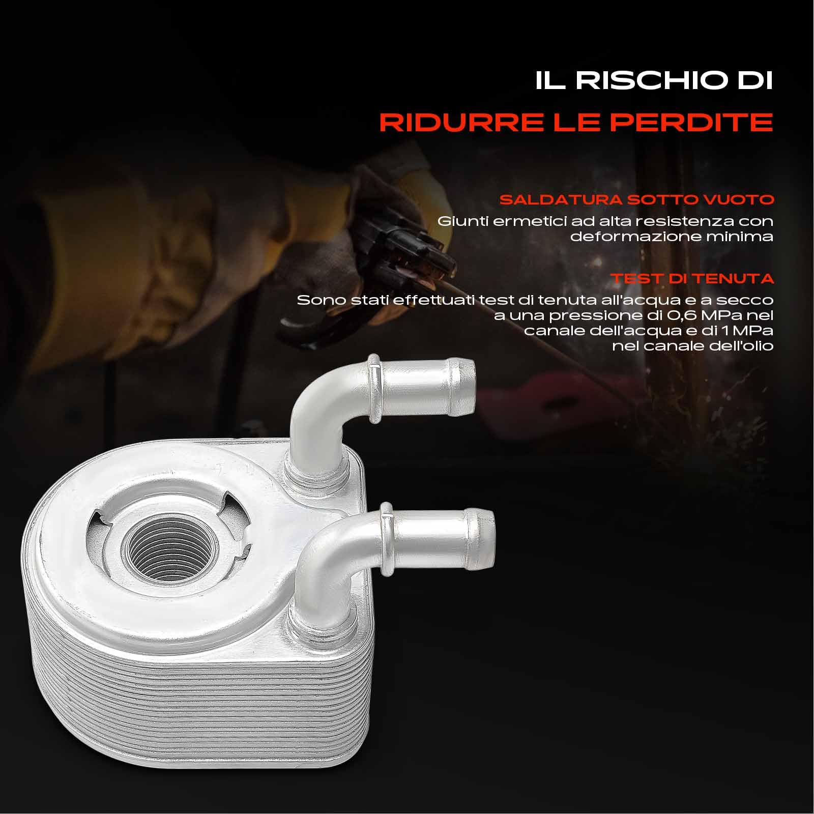 Frankberg Radiatore dell'olio olio motore benzina alluminio 213050003R | Compatibile con: Scénic III JZ0/1, Scénic III Van JZ0/1, M.e.g.a.n.e III Grandtour KZ0/1