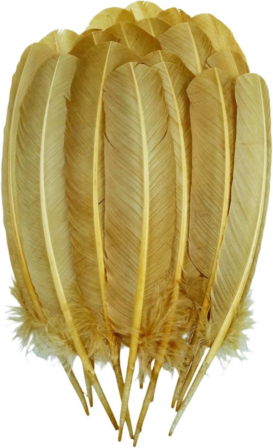 Feathers for Crafting 10-12 inches 24pcs Natural Black Big Turkey Feather Bulk for Craft DIY Crafts, Angel Wings, Dream Catcher and Wedding Party Decorations (Colorful)