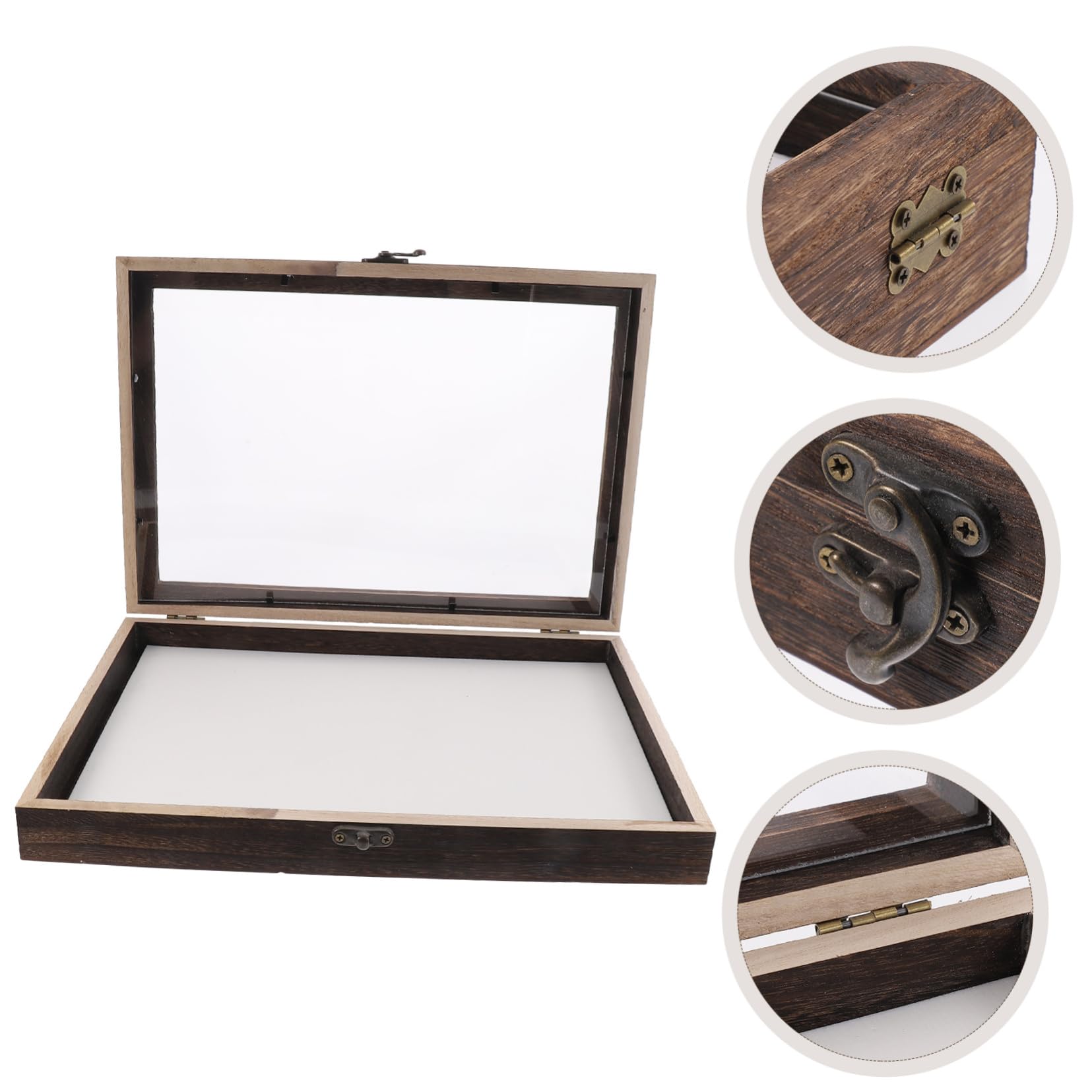 Garneck Scatola di Legno per Insetti con Coperchio Trasparente, Teca Entomologica per Farfalle, Protezione Dalla Polvere e Decorazione da Scrivania Stile Casuale