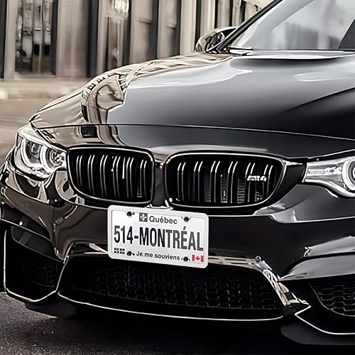 Miniatura 6 de AICEL 2 marcos de acero inoxidable para placas de matrícula, 4 agujeros, cubiertassoportes para placas de matrícula de automóvil, resistentes al