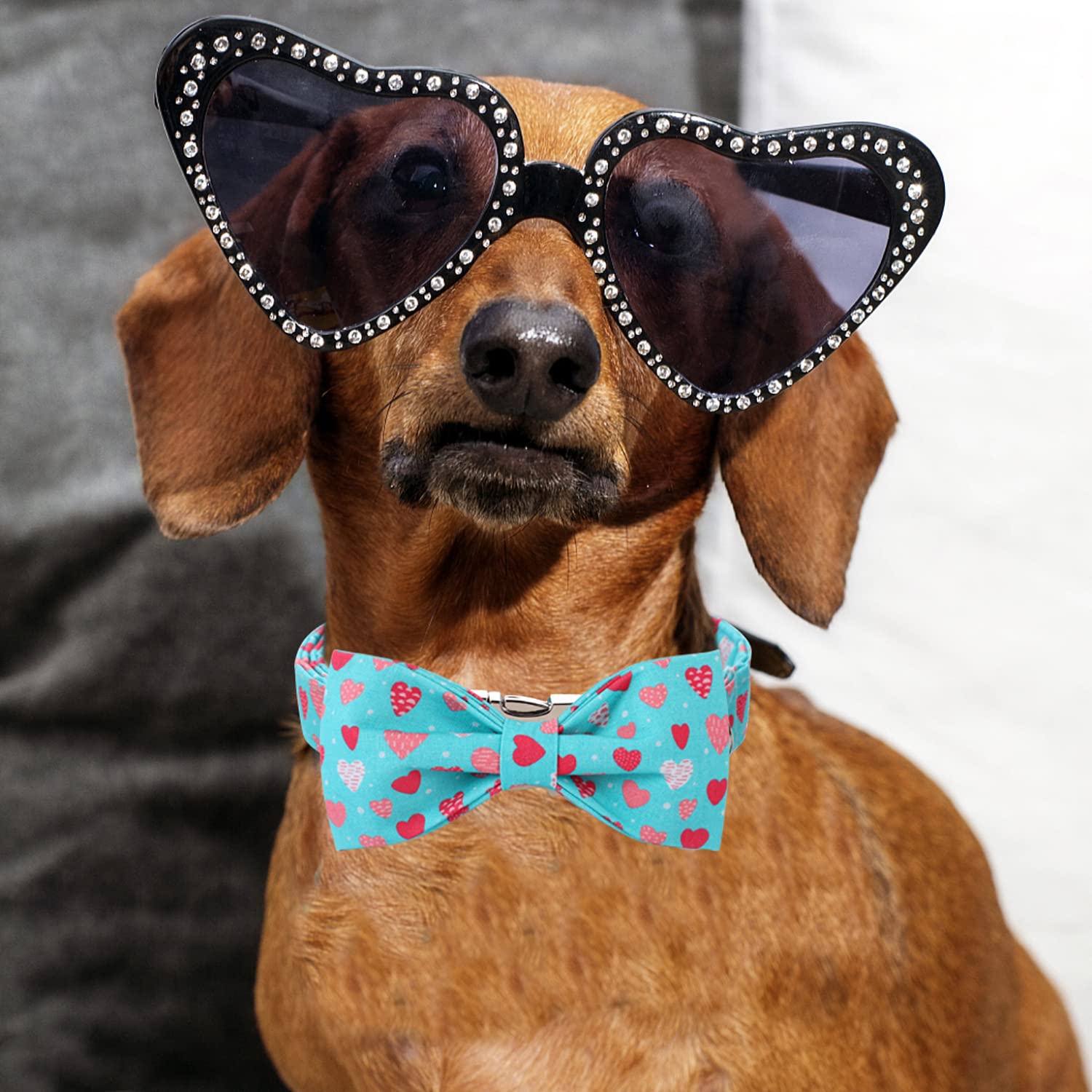 Weihnachts Hundehalsband Mit Fliege – Süßes Mode-Accessoire Für Kleine & Mittelgroße Hunde, Größe M