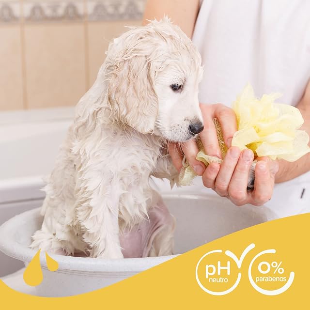Foto 7 de 8 de Beaphar Champú Cachorros 250ml - Extractos Naturales de Aloe Vera y Camomila