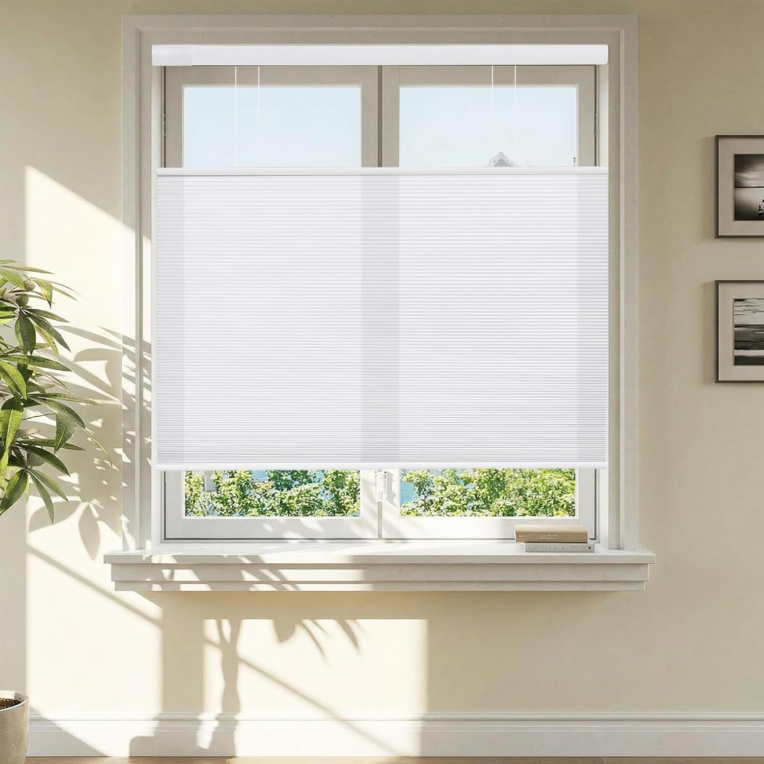 No Drill Top Down Bottom Up Cellular Shades Window Blinds, Cordless Light Filtering 1'' Honeycomb Blinds Custom 47''W x 48''H Window Cover for Home Bedroom Office, White