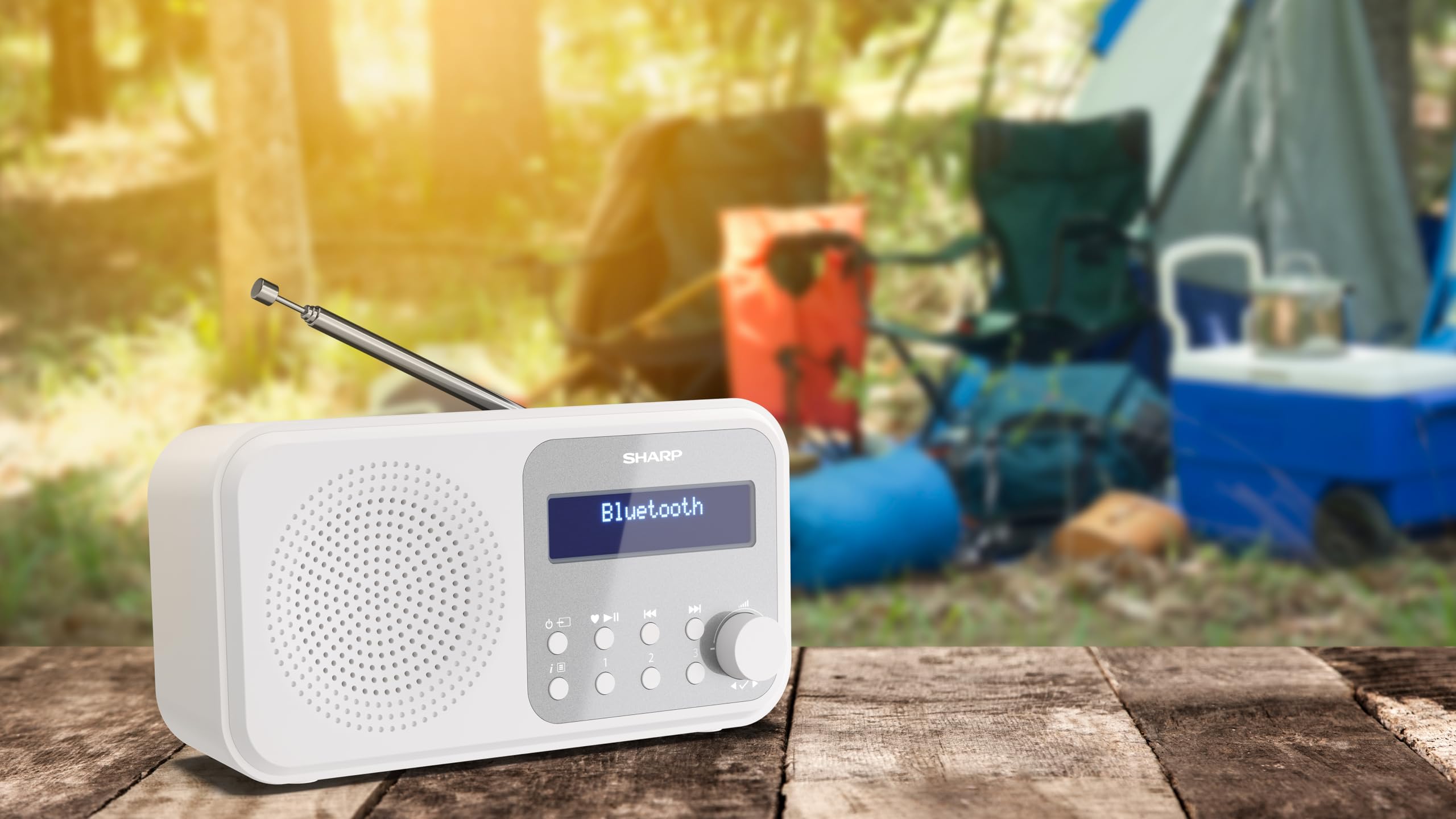 Sharp DR-430 (BK) draagbare digitale radio Tokyo (DAB/DAB /FM met RDS, Bluetooth, hoofdtelefooningang), zwart