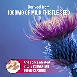 EBYSU Capsules de chardon de lait 1000mg (Fabriqué au Canada) – 200 Capsules – Soutien du foie – 4:1 Supplément de chardon au lait avec Silymarin – Dérivé 1000mg Semences – Aide à résoudre les problèmes digestifs