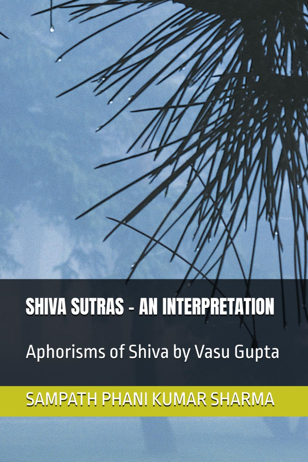 SHIVA SUTRAS - AN INTERPRETATION: Aphorisms of Shiva by Vasu Gupta