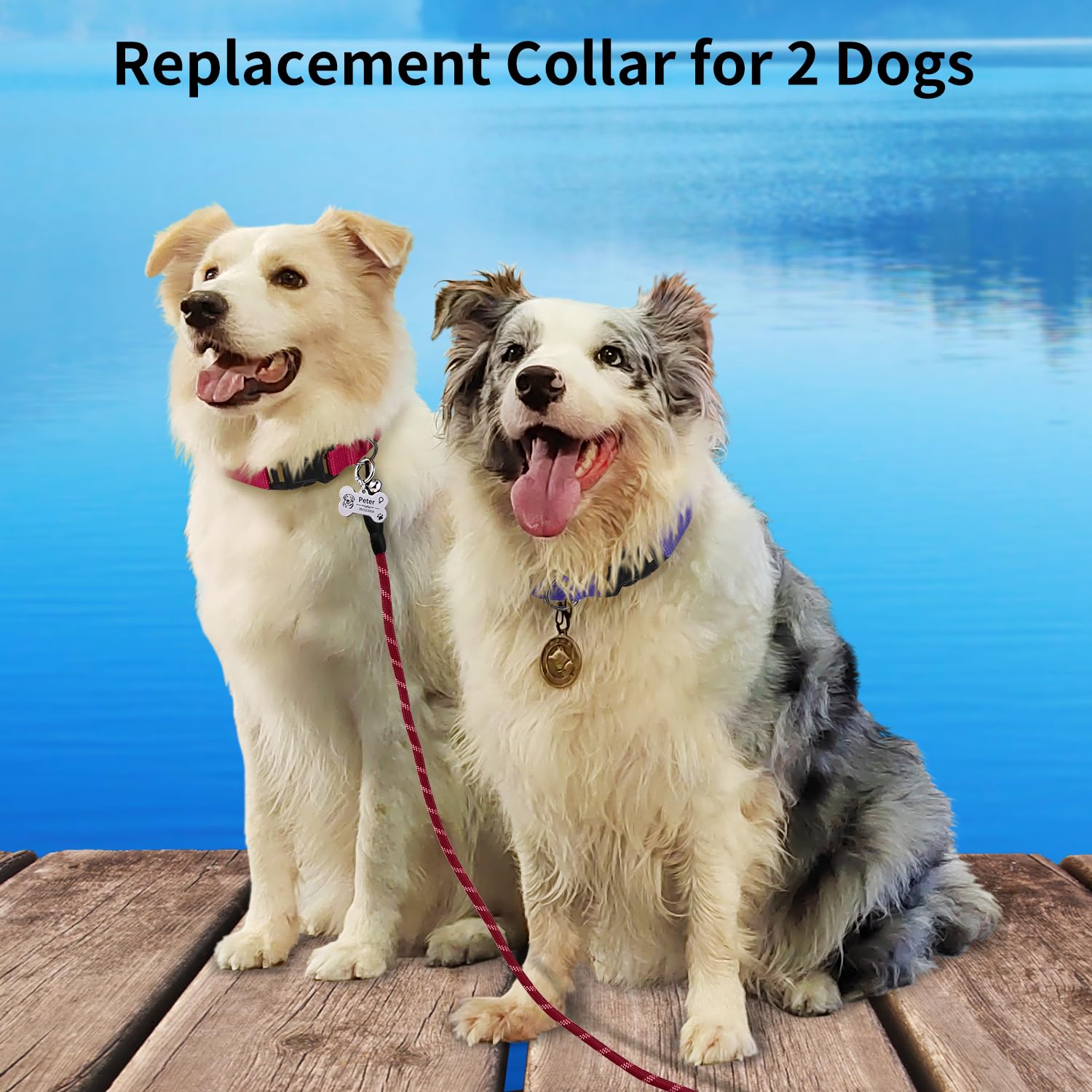 DOGLinsen Shock Collar Replacement Strap, Adjustable Dog Collar for Small Medium Large Dogs - Red & Purple