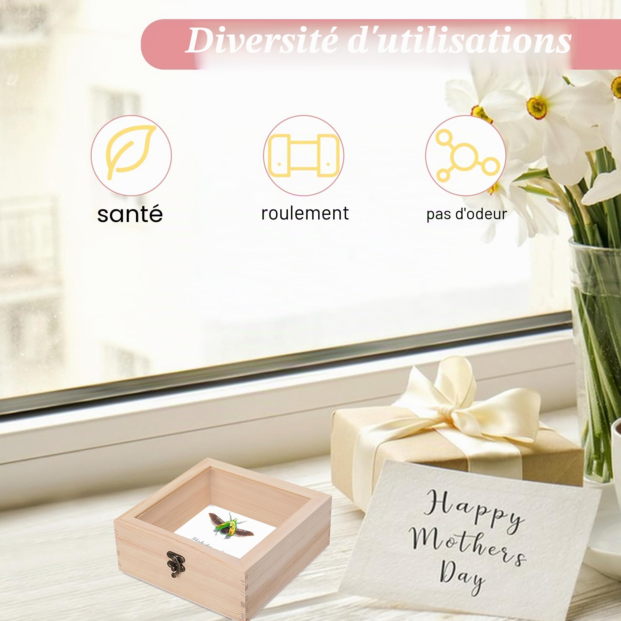 Kit D'outils pour Spécimens D'insectes 4 Boîtes en bois 10 Feuilles de papier calque 200 épingles à insectes 2 Planches de Montage Papillon en Mousse EVA pour Collecte