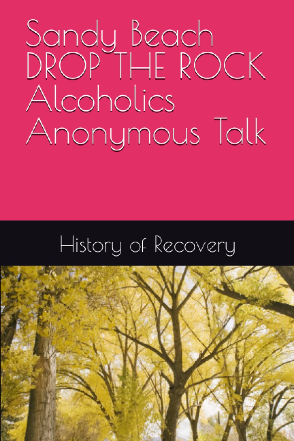 Sandy Beach DROP THE ROCK Alcoholics Anonymous Talk