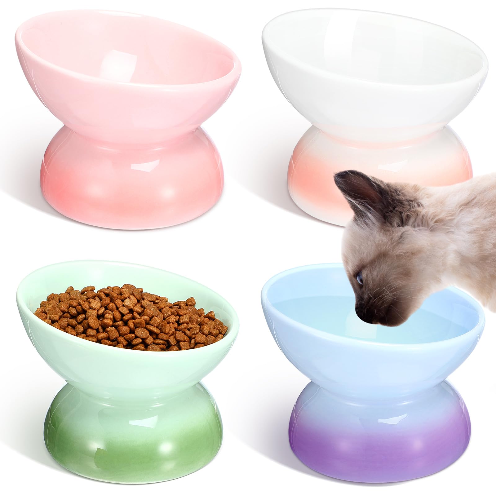 Hushee 4 Pcs Ceramic Raised Cat Food Bowls Elevated Tilted Dish Anti Vomiting Food or Water Bowls Pet Supplies