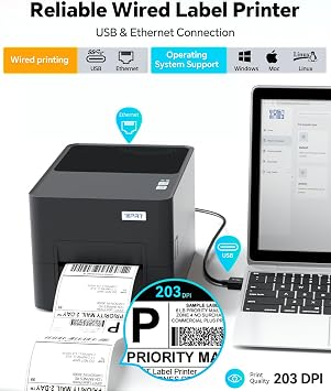 iDPRT Industrial Thermal Label Printer, 6IPS High-Speed 4.4'' Max Width, USB/Ethernet, Dual Mode Thermal Transfer & Direct Thermal, 203DPI Barcode Printer for Large Warehouse Logistics & Healthcare