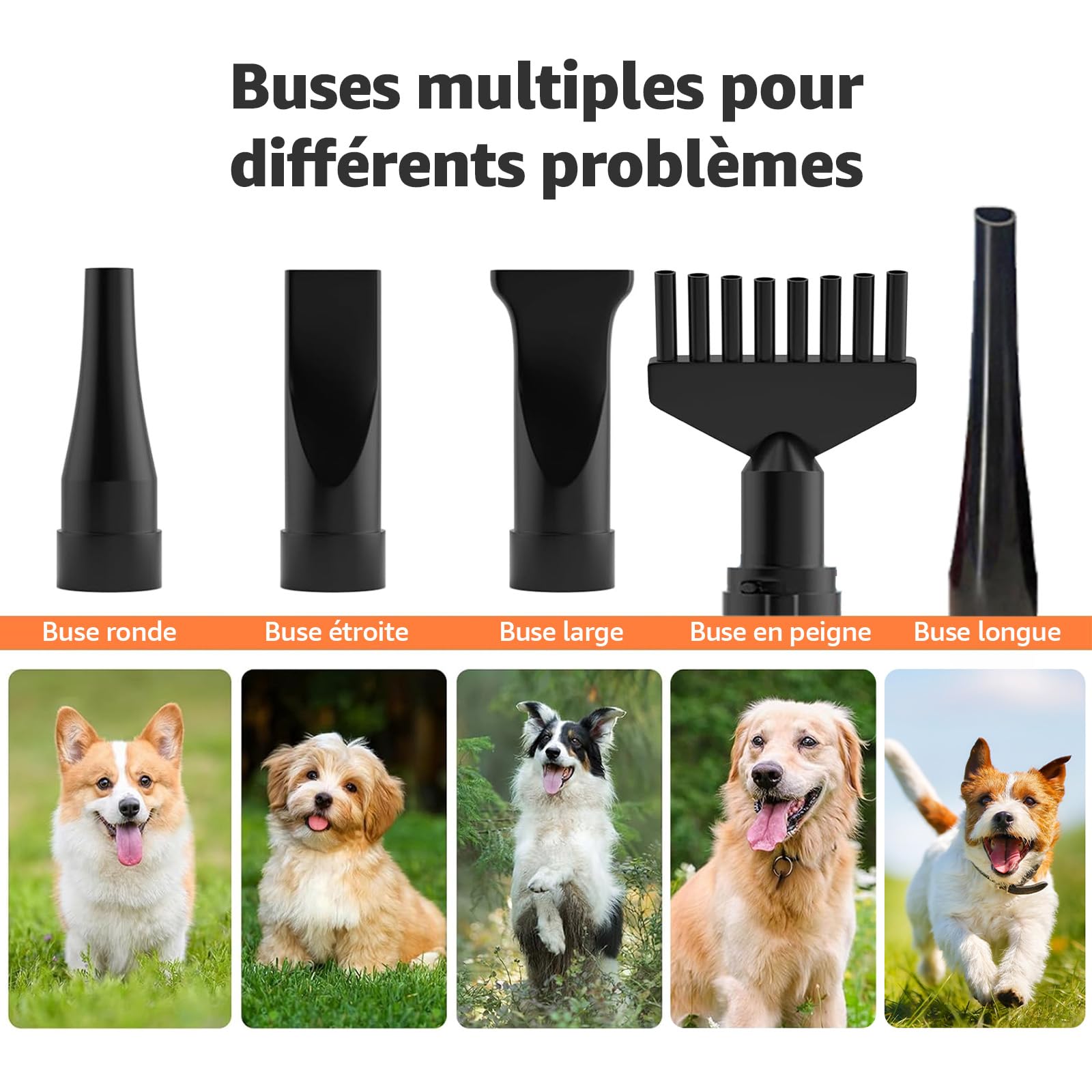 XKISS 2800W Tondeuse pour chiens avec aspirateur de poils d'animaux,6 en 1 Kit professionnel de toilettage pour animaux ，tondeuse pour poils de chien et aspirateur pour poils d'animaux