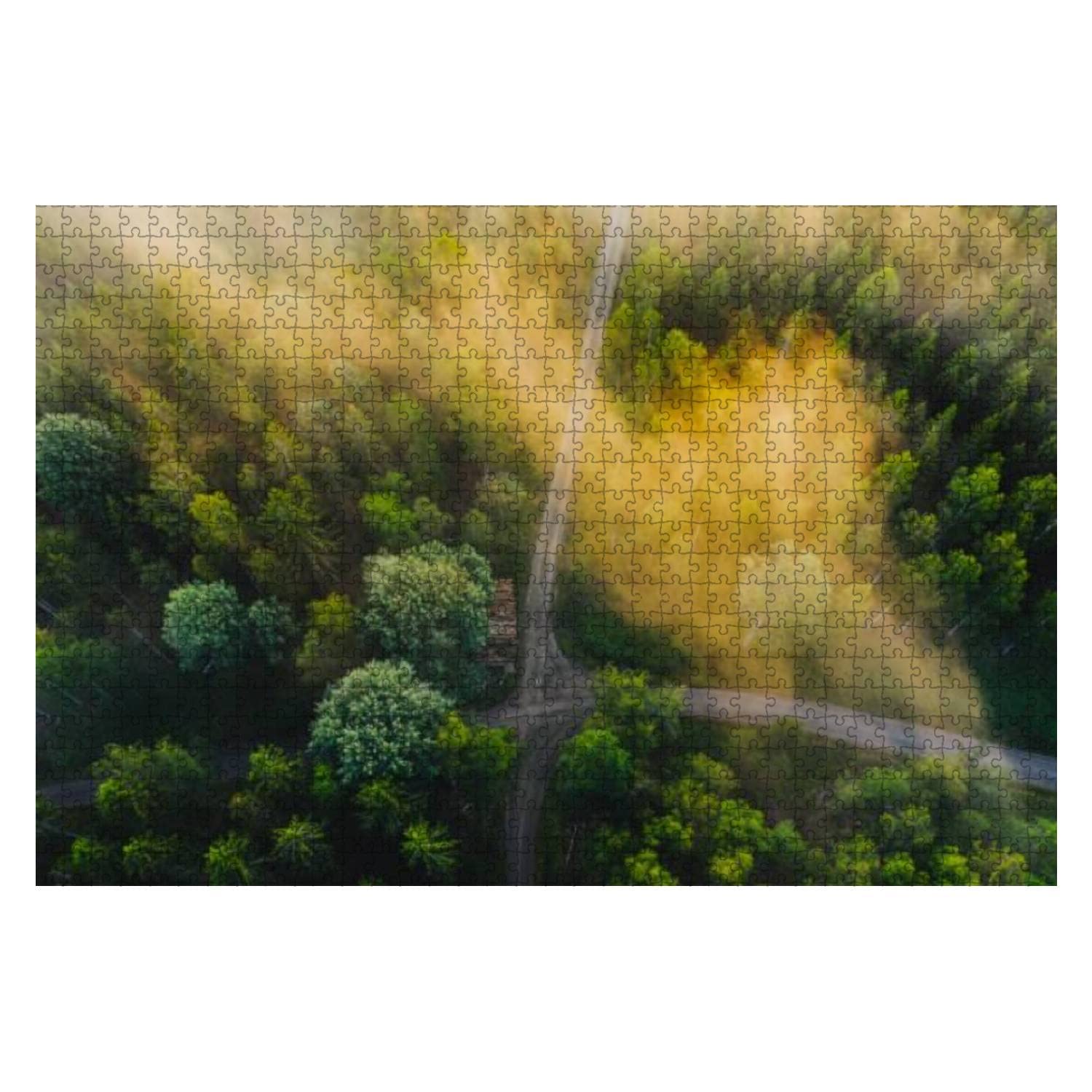 Sun rising up forrest 1000 Pieces Wooden Jigsaw Puzzles for Adults Decompression DIY Children Educational Puzzles Creative Games Toys Gift Home Decor