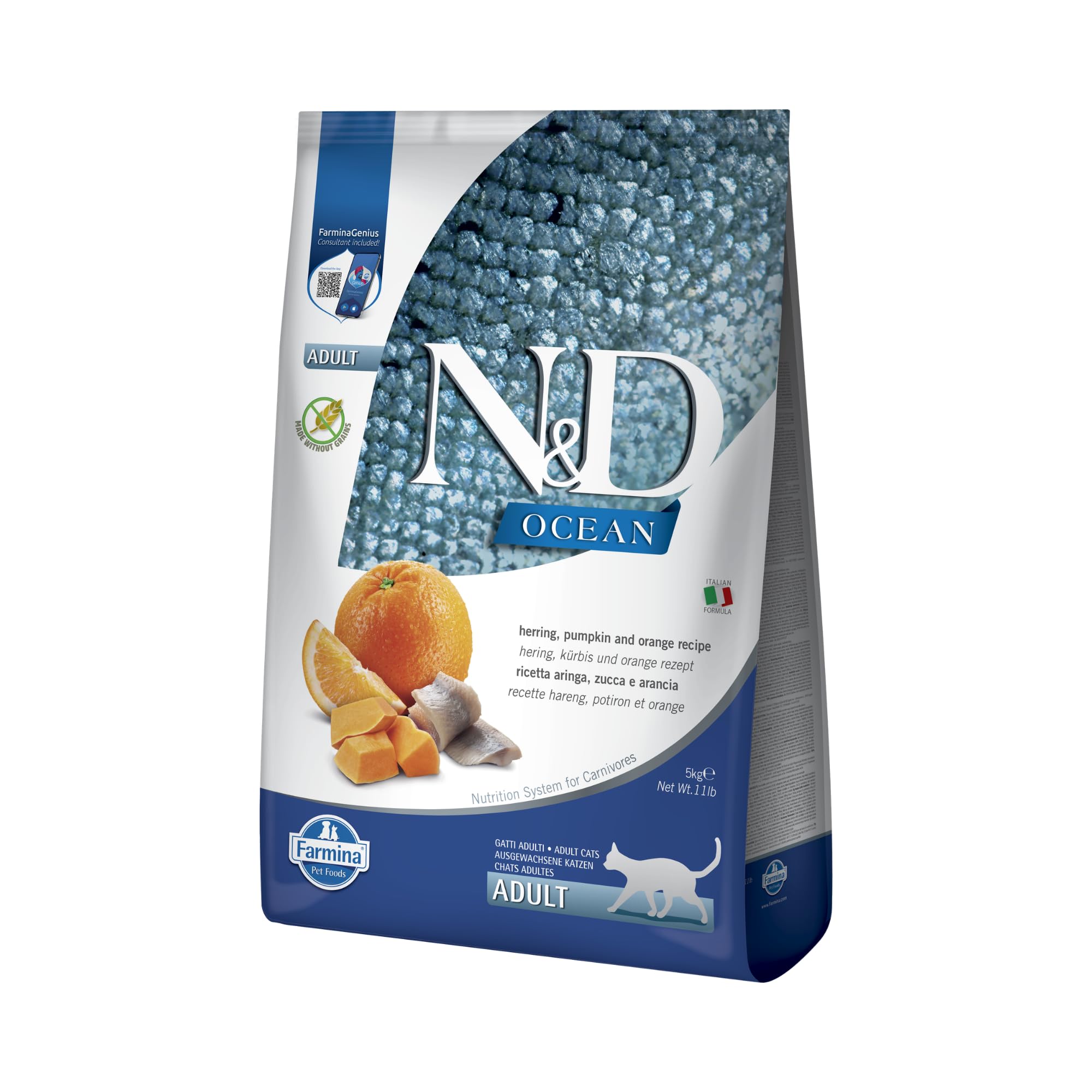 N&D OCEAN CAT HERRING, PUMPKIN AND ORANGE ADULT 5KG
