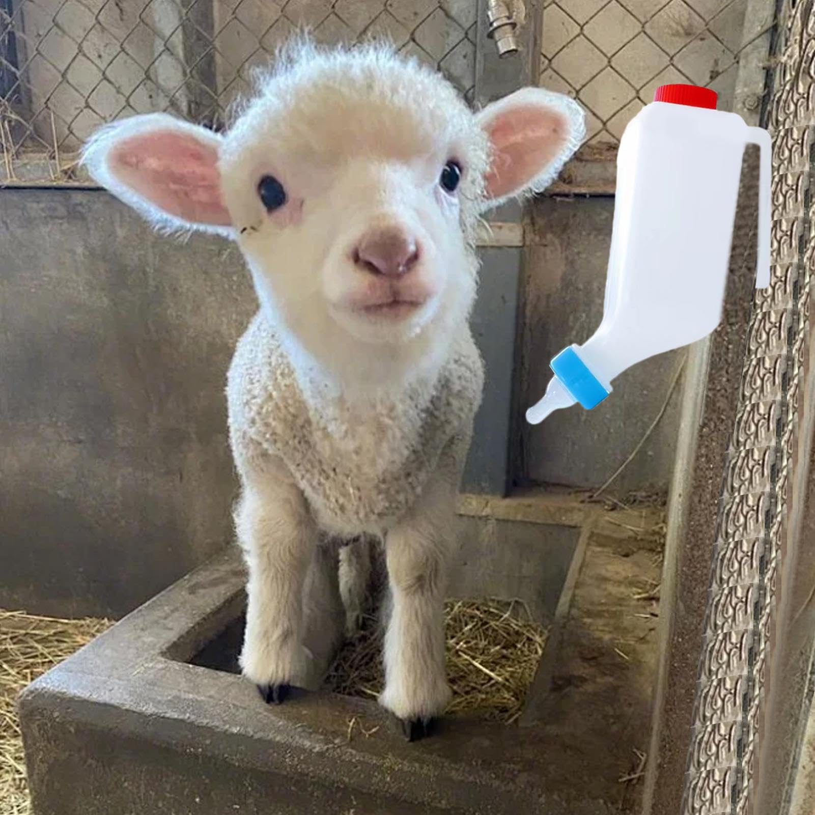 Feeding Bottle Lambs, Small Animal Bottle, Milk Feeder Hangable, Soft Nipple Design, ABS Material, Sturdy Leak-Proof, Ideal for Goat, Lamb, Nursing Animals, 1 Piece