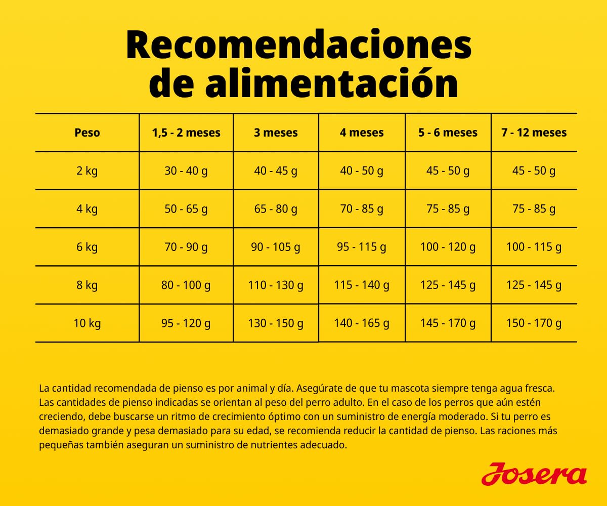 JOSERA Mini Junior Pato y salmón (1 x 10 kg) | Pienso seco de primera calidad para perros en crecimiento de hasta 10kg | Pienso para cachorros sin gluten para un desarrollo óptimo | Croquetas pequeñas